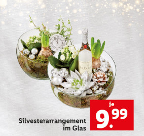 Blumen & Pflanzen
