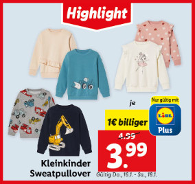 Kleinkinder Sweatpullover
