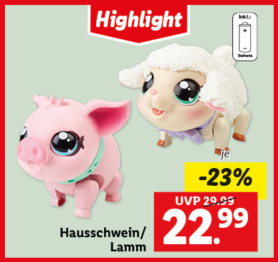 Hausschwein/Lamm