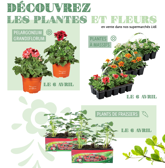 Tuto Jardinage