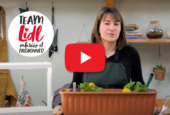Tuto jardinage