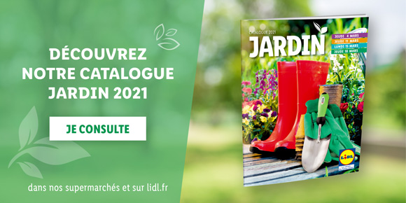 Lidl Voyage Newsletter