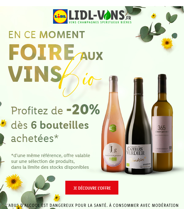 Lidl Voyage Newsletter