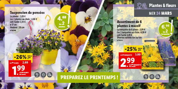 Lidl France Newsletter
