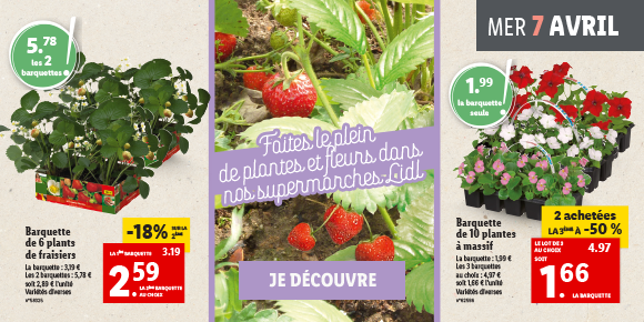 Lidl France Newsletter