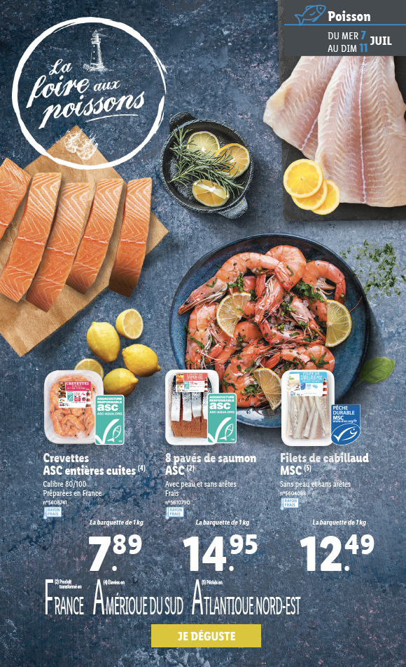 Newsletter Lidl France