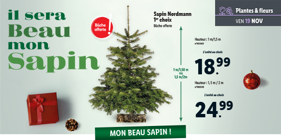 Newsletter Lidl France