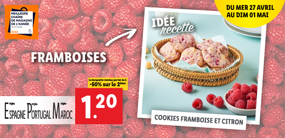 Newsletter Lidl France