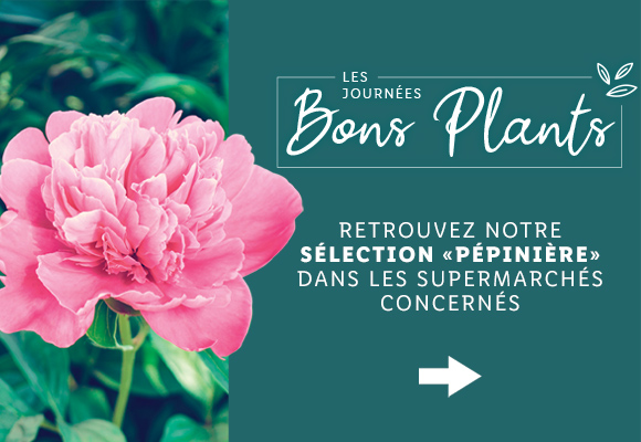 Newsletter Lidl France