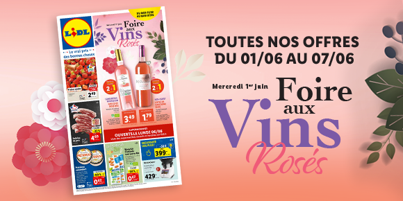Newsletter Lidl France