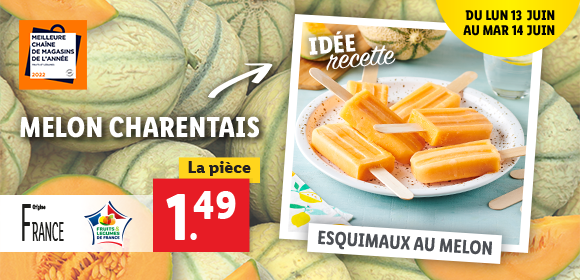 Newsletter Lidl France