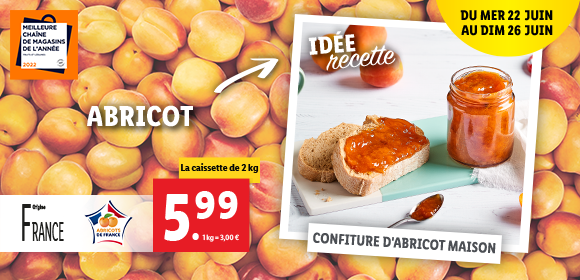 Newsletter Lidl France