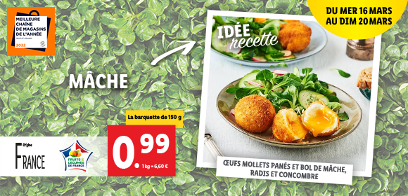 Newsletter Lidl France