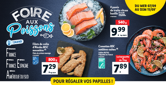 Newsletter Lidl France