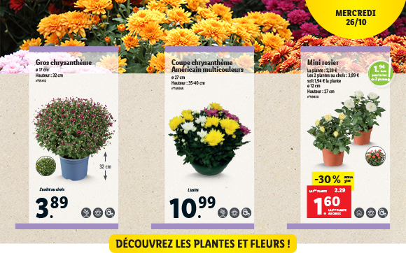 Newsletter Lidl France