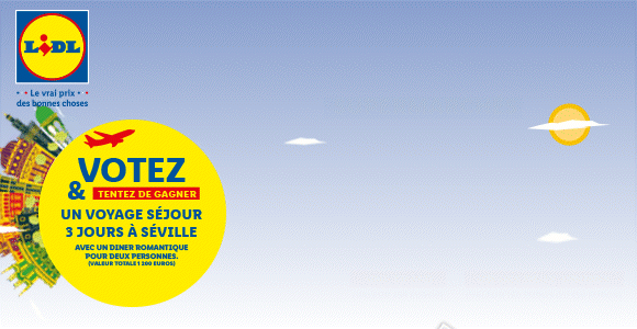 Newsletter Lidl France