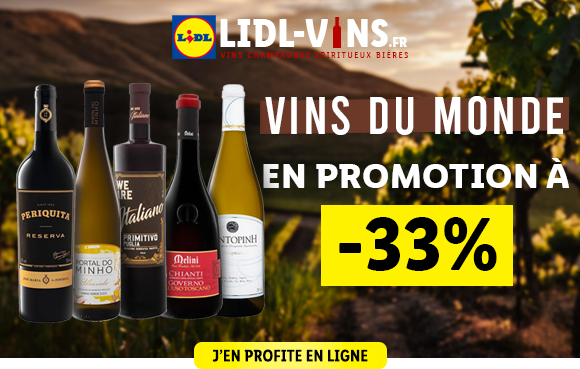 Newsletter Lidl France