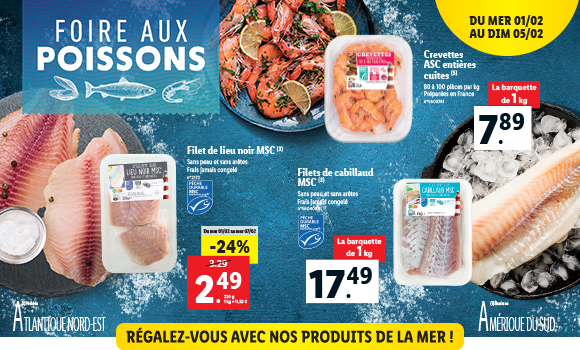 Newsletter Lidl France