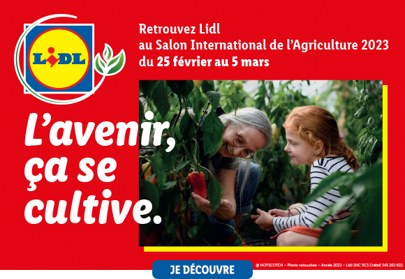 Newsletter Lidl France