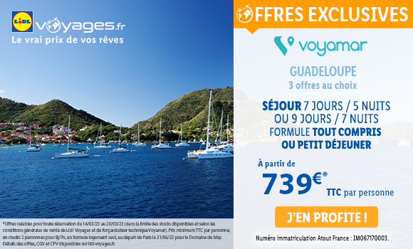 Newsletter Lidl France