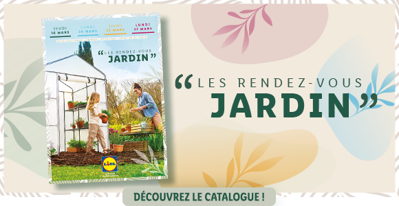 Newsletter Lidl France
