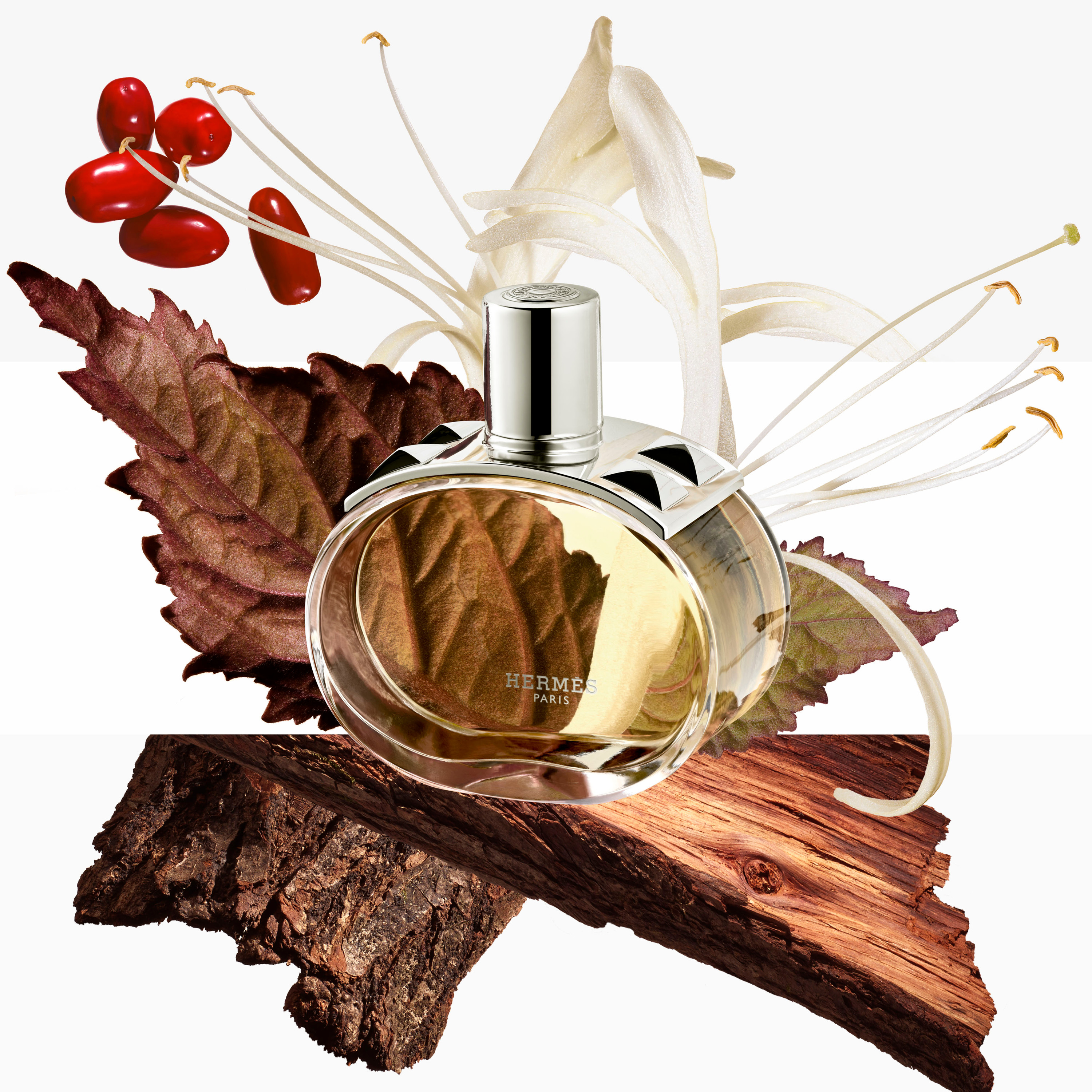 The Hermès chypre perfume