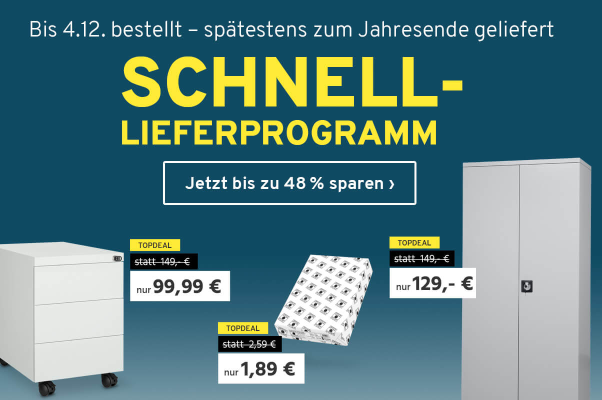 Bis 4.12 bestellt â zum Jahresende geliefert | Jetzt bis zu 48% sparen
