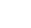 store icon