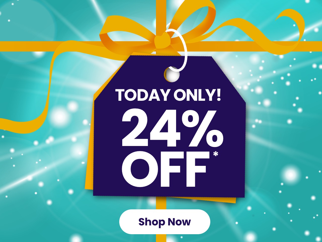 Today Only! 24% Off