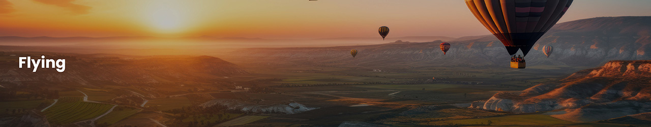 Flying