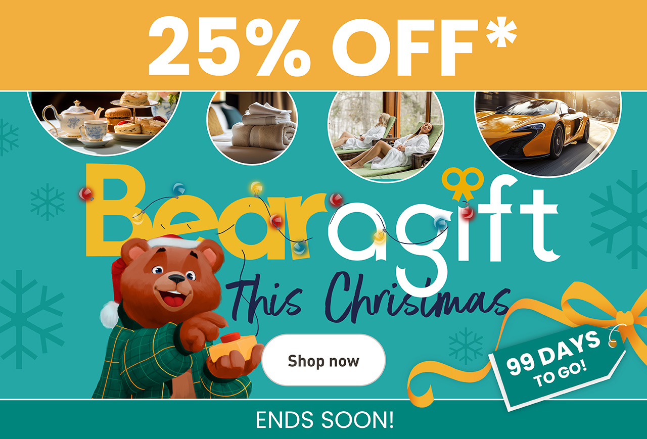 25% Bearagift This Christmas