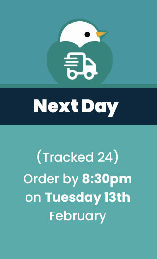 Next Day