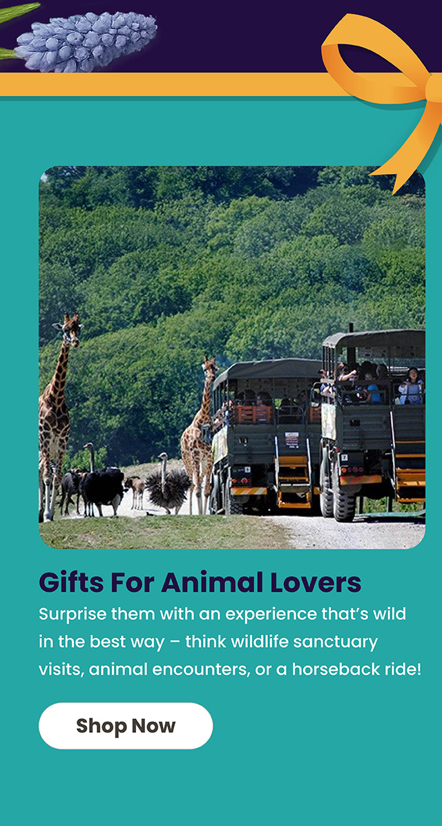 Gifts For Animal Lovers