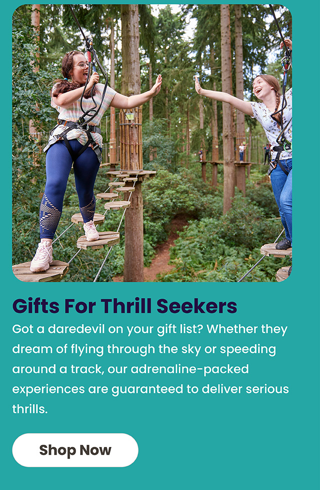 Gifts For Thrill Seekers
