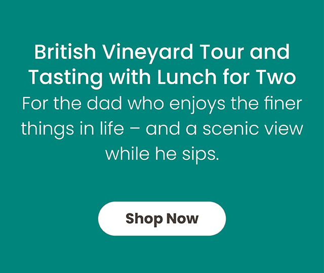 Vineyard Tour with Lunch & Tasting for Two