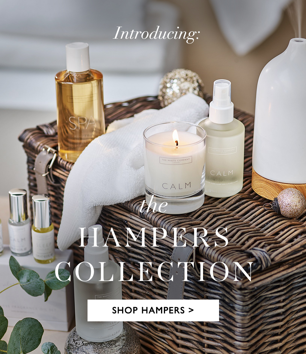 The Hampers Collection | SHOP HAMPERS