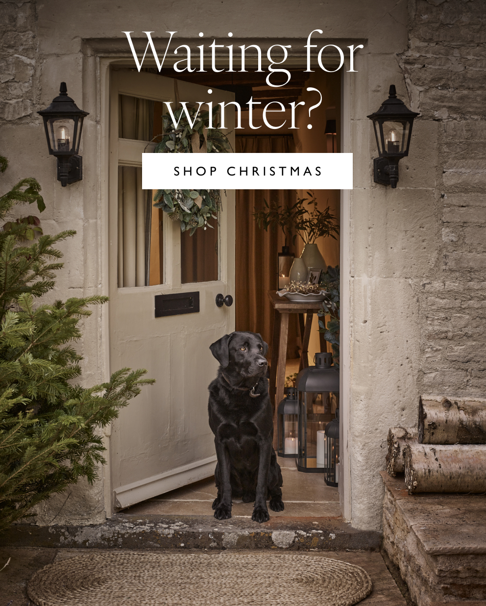 Waiting for winter? | Shop Christmas