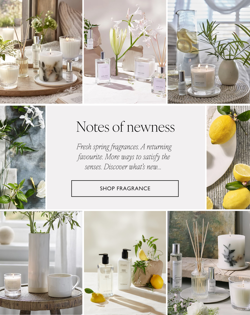 Notes of newness - Shop fragrance