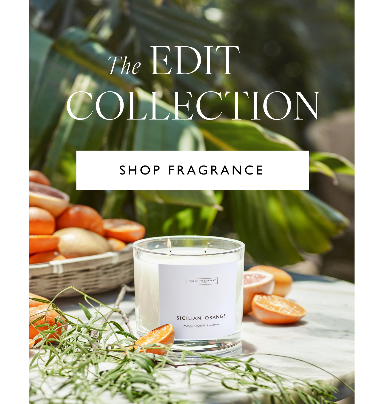 The edit collection - Shop fragrance