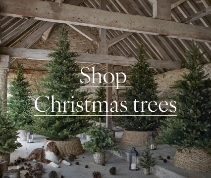 Shop Christmas trees