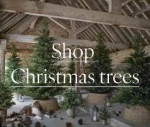 Shop Christmas trees